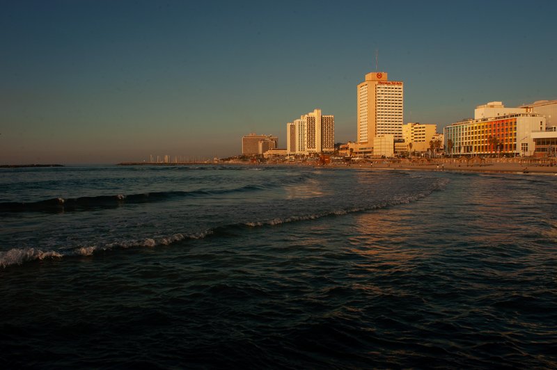 Mike's Place – The photos